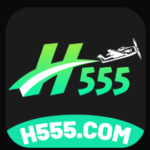 h555